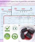 DOZO Dried Black Mulberries 15.5oz/440g Black Mulberry Large Sun-dried Mulberries Vegan SnackÃ¯Â¼â€ Baking No sugar add Ã¦Â¡â€˜Ã¨â€˜Å¡Ã¥Â¹Â² Ã©Â»â€˜Ã¦Â¡â€˜Ã¨â€˜Å¡