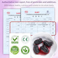 DOZO Dried Black Mulberries 15.5oz/440g Black Mulberry Large Sun-dried Mulberries Vegan SnackÃ¯Â¼â€ Baking No sugar add Ã¦Â¡â€˜Ã¨â€˜Å¡Ã¥Â¹Â² Ã©Â»â€˜Ã¦Â¡â€˜Ã¨â€˜Å¡