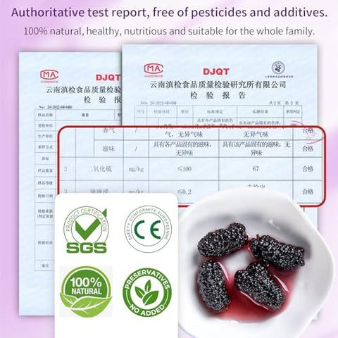 DOZO Dried Black Mulberries 15.5oz/440g Black Mulberry Large Sun-dried Mulberries Vegan SnackÃ¯Â¼â€ Baking No sugar add Ã¦Â¡â€˜Ã¨â€˜Å¡Ã¥Â¹Â² Ã©Â»â€˜Ã¦Â¡â€˜Ã¨â€˜Å¡