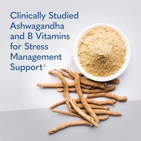 Garden Of Life Dr. Formulated Multi+ Stress and Mood Capsule With Ashwagandha B Vitamins and Probiotics Daily Multivitamin For Occasional Stress Relief Immune Support GlutenFree 60 Capsules
