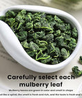 Mulberry leaf tea 7.05 oz -Fried mulberry leaves after frost-Tea fragrance Ã¦Â¡â€˜Ã¥ÂÂ¶Ã¨Å’Â¶200g
