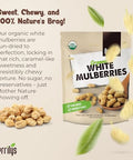 Berrilys Organic Dried Mulberries - White Mulberry, Non-GMO, Unsulfured, Raw, Kosher, Vegan - Healthy Berries, Superfood, No Sugar Added, USDA Organic Certified, FDA Registered Facility - 10oz