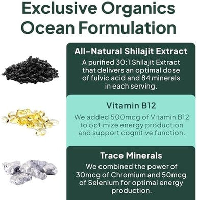 Shilajit For Men And Women - Natural Shilajit Supplement With Vitamin B12, Chromium And Selenium For Age-Defying, Energy, Hormone Support And More - 60 Shilajit Gummies