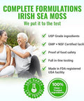 4000Mg Sea Moss Supplement Blend With Black Seed Oil 2000Mg Ashwagandha 1200Mg Turmeric 1000Mg Bladderwrack 1500Mg, Burdock 1000Mg & Vitamin C & D3 With Elderberry Manuka Dandelion Yellow Dock Iodine