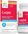 Terry Naturally Coq10 Chewables Cellular Energy Support Supplement Higher Absorption Coq10 Chewable Supplement Nutritional Supplement To Aid Healthy Aging & Brain Health 30 Chewables