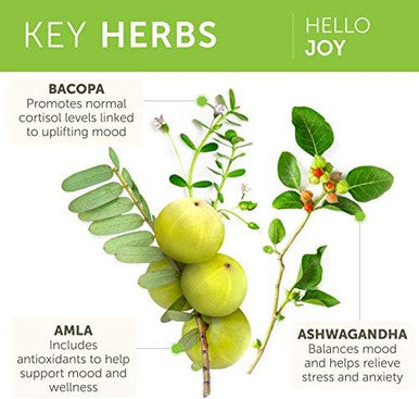 Himalaya Hello Joy Herbal Supplement With Ashwagandha Amla Bacopa Holy Basil/Tulsi Positive Outlook Supports Motivation Stress Relief Balanced Cortisol Nongmo Vegan 60 Capsules