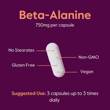 Bestvite Beta Alanine 750mg (240 Vegetarian Capsules) - No Stearates - Vegan - Non GMO - Gluten