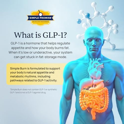 Simple Burn Daily Glp-1 Booster Weight Management Supplement With Berberine Hcl For Women - Glp1 Natural Appetite Suppressant - Supports Fat Metabolism & Craving Control - 60 Capsules