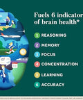 Neuriva Plus Brain Supplement For Memory And Focus Clinically Tested Nootropics For Concentration For Mental Clarity Cognitive Enhancement Vitamins B6 B12 Phosphatidylserine 30 Capsules