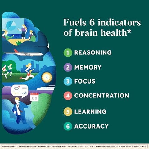Neuriva Plus Brain Supplement For Memory And Focus Clinically Tested Nootropics For Concentration For Mental Clarity Cognitive Enhancement Vitamins B6 B12 Phosphatidylserine 30 Capsules