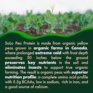 Folona Solo Organic Pea Protein Isolate Low In Sodium Canada Grown