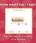 Celebrate Vitamins CelebrateONE 18 Multivitamin with Iron and Balance Probiotic + Prebiotic Capsules Bundle Bariatric Vitamins for PostGastric Bypass and Sleeve Gastrectomy Essential Digestive and Nu