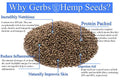 Gerbs Roasted Unsalted Whole Hemp Seeds 4 lbs. | Dry Roasted, Resealable Bag | Bold, Nutty Flavor & Crunch | Top 14 Allergen-Free