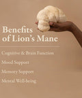 Organika Lion'S Mane - Ultra Strength Organic Mushroom Extract - 2800Mg - Nootrophic, Natural Support For Memory, Mood, Neuroprotection And Cognition - 120Vcaps, 120 Day Supply