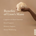 Organika Lion'S Mane - Ultra Strength Organic Mushroom Extract - 2800Mg - Nootrophic, Natural Support For Memory, Mood, Neuroprotection And Cognition - 120Vcaps, 120 Day Supply