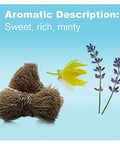 Doterra - Peace Essential Oil Reassuring Blend - Promotes Feelings Of Peace Reassurance And Contentment Counteracts Negative Emotions For Diffusion Or Topical Use 5 Milliliter