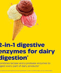 Enzymedica Dairyassist Digestive Enzymes For Complete Dairy Digestion & Lactose Intolerance 30 Count
