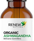 Renew Actives Ashwagandha Liquid - Essential Drops For Memory Enhancement, And Energy Increase. A Cleansing Rejuvenative Tonic And Sleep Aid Supplement - 120 Ml