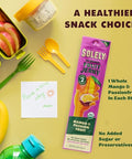 SOLELY - Organic Mango Passion Fruit Jerky - 1 Individually Wrapped Strip - Fruit Leather Made from Dried Fruit - Healthy Snacks for Adults & Kids - Non GMO, Vegan Snacks - 0.8oz (23g)
