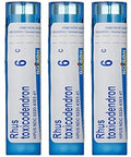Boiron Rhus Toxicodendron 6C 5Pack Of 80 Pellet Tubes Homeopathic Medicine For Joint Pain