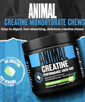 Animal Creatine Chews Tablets Creatine Monohydrate Chewable Muscle Builder With Sea Salt & Nootropic Astragin For Added Absorption Delicious And Convenient For Men & Women 120 Count Sour Apple