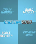 Evlution Pure Creatine Monohydrate Powder 5000mg Nutrition Pre and Post Workout Recovery Drink Mix Creatine Powder for Enhanced Muscle Mass Athletic Performance and Muscle Recovery - Unflavored