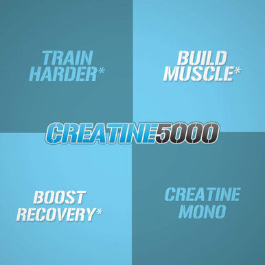 Evlution Pure Creatine Monohydrate Powder 5000mg Nutrition Pre and Post Workout Recovery Drink Mix Creatine Powder for Enhanced Muscle Mass Athletic Performance and Muscle Recovery - Unflavored