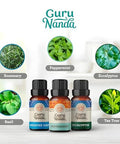 Gurunanda Breathe Essential Oil Set 3-Pack Aromatherapy Oils For Diffusers Massages & Diy Recipes Peppermint Eucalyptus & Breath Easy 100 Pure Natural & Undiluted (3 X 0.34 Fl Oz)