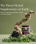 Gaia Herbs Black Elderberry (Sambucus Nigra) Extra Strength Gummies Delicious Immune Support Supplement Made With Organic Black Elderberries For Immune System Support 40 Gummies