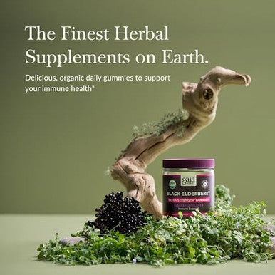 Gaia Herbs Black Elderberry (Sambucus Nigra) Extra Strength Gummies Delicious Immune Support Supplement Made With Organic Black Elderberries For Immune System Support 40 Gummies