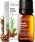 Gya Labs Fresh Forest Essential Oil Blend For Diffuser - Fresh Forest Oil For Aromatherapy Candle & Diy - 100 Pure Natural Ingredients Of Rosemary Pine Needle Cedarwood & Thuja(0.34 Fl Oz)