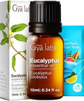 Gya Labs Sweet Orange Essential Oil For Diffuser & Eucalyptus Essential Oil For Diffuser Set - Aromatherapy Grade Essential Oils Set - 2X0.34 Fl Oz - Gya Labs