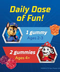 L'il Critters Paw Patrol Gummy Vites Daily Gummy Multivitamin for Kids Vitamin C D3 for Immune Support Cherry Orange and Blueberry Flavors 190 Gummies