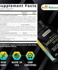 Best Naturals Daytoday Digestive Support 90 Veg Capsules Made With Digestive Enzymes Probiotics & Herbal Blend Made In The Usa