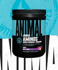 Animal Omega Omega 3 & 6 Supplement With Fish Oil & Flaxseed Oil Plus Juiced Amino Acids Bcaa/Eaa Matrix For Recovery 30 Servings Each