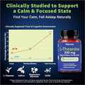 Hojasana L-Theanine 200Mg With Saffron Gaba Magnesium Glycinate & Vitamin B6 Advanced Complex Formula For Mood Relaxation & Stress Relief & Sleep Support 60 Vegan Capsules Non Gmo Gluten-Free