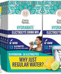 Gurunanda Hydramate Hydration Support Drink Mix Electrolyte Powder Packets For Dehydration Exercise & Energy No Added Sweeteners Nongmo Natural Lemon Lime Flavor 12 Count (0.56 Oz Each)