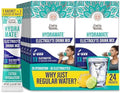 Gurunanda Hydramate Hydration Support Drink Mix Electrolyte Powder Packets For Dehydration Exercise & Energy No Added Sweeteners Nongmo Natural Lemon Lime Flavor 12 Count (0.56 Oz Each)