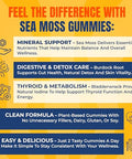 Trueseamoss Gummies Sample 1200Mg Irish Sea Moss Bladderwrack & Burdock Root Travel-Size Vegan Fruity Gluten-Free 14 Gummies Easy On-The-Go Wellness Made In Usa