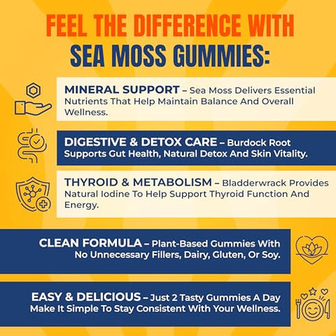 Trueseamoss Gummies Sample 1200Mg Irish Sea Moss Bladderwrack & Burdock Root Travel-Size Vegan Fruity Gluten-Free 14 Gummies Easy On-The-Go Wellness Made In Usa