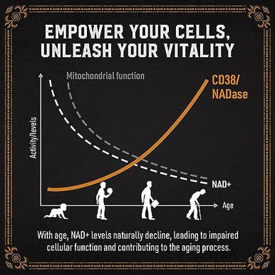 1800 Mg Liposomal Nad Supplement, Nad+ Supplement Similar To Nicotinamide Riboside, 98% Pure Nad Plus Supplement For Energy Booster & Cellular Repair For Men & Women, Non-Gmo, 60 Softgels
