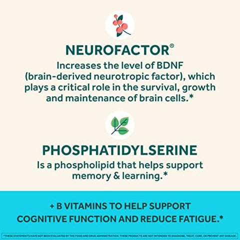 NEURIVA Plus Brain Supplement for MemoryFocus and Concentration+Cognitive Function with Vitamins B6 and B12 and Clinically Tested Nootropics Phosphatidylserine and Neurofactor50ct Strawberry Gummies