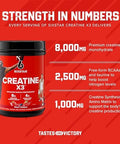 Six Star Creatine Monohydrate Powder, X3 (Fruit Punch) - Flavored Creatine Hcl Powder Monohydrate Supplement For Muscle Building & Performance - Post Workout Supplement For Men & Women - 30 Servings