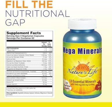 Nature'S Life Mega Minerals Complex Complete Multi Mineral + Vitamin D Supplement 250 Vegetarian Capsules
