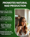 Nad+ Liposomal Nicotinamide Riboside With Resveratrol & Quercetin Nad+ Premium Supplement For Anti-Aging, Enhanced Energy, Improved Focus, Cellular Support 80 High-Purity Capsules-900Mg