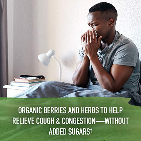 Garden Of Life Organics Elderberry Zinc Immune Support For Adults And Kids 12 And Older Organic Cough & Mucus Immune Syrup With Ivy Leaf Vitamin C And Echinacea No Added Sugars 5 Fl Oz