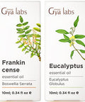 Gya Labs Frankincense Oil For Skin & Eucalyptus Essential Oil For Diffuser Set - Aromatherapy Grade Essential Oils Set - 2X0.34 Fl Oz - Gya Labs