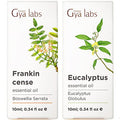 Gya Labs Frankincense Oil For Skin & Eucalyptus Essential Oil For Diffuser Set - Aromatherapy Grade Essential Oils Set - 2X0.34 Fl Oz - Gya Labs