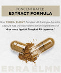 Terra Elmnt 200X Strength Tongkat Ali For Men W. Fadogia Agrestis Extract - 10 Eurycomanone Longjack Highest Potency Fadogia Agrestis Tongkat Ali Supplement - Muscle Growth & Test Booster Pills For Men