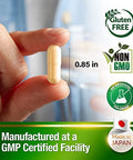 AFC Japan Ultimate Liver Care - Liver Cleanse Detox Formula for Fatty Liver, & Hangover, Amino (L-Ornithine, L-Citrulline, L-Cystine) + Turmeric (95% Curcuminoids), 90s x 3
